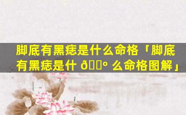 脚底有黑痣是什么命格「脚底有黑痣是什 🌺 么命格图解」